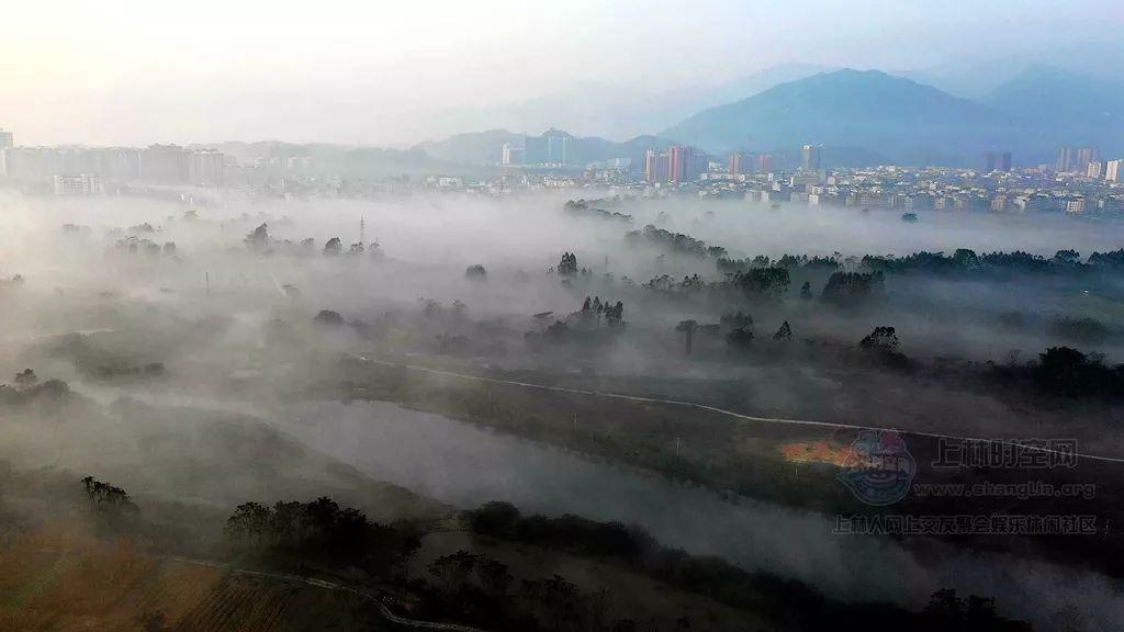 年纪越大斑点越多,婆婆教我的小秘诀:冬瓜这样吃,养颜又排毒