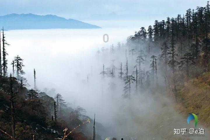 李佳琦一连翻车3次