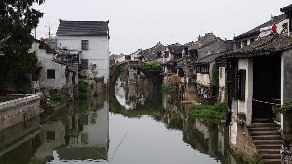 把20只螃蟹的蟹黄掏出来，做了一道秃黄油，满满的蟹黄拌饭太爽游戏画面